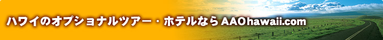 ϥ磻Υץʥĥۥƥ롦ʰ¹ҶʤAAOhawaii.com